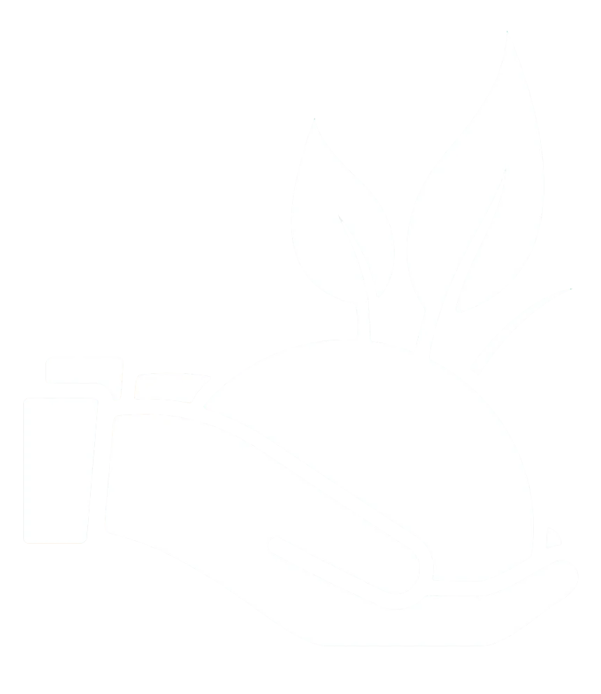 Values Icon