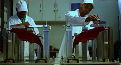 Workers